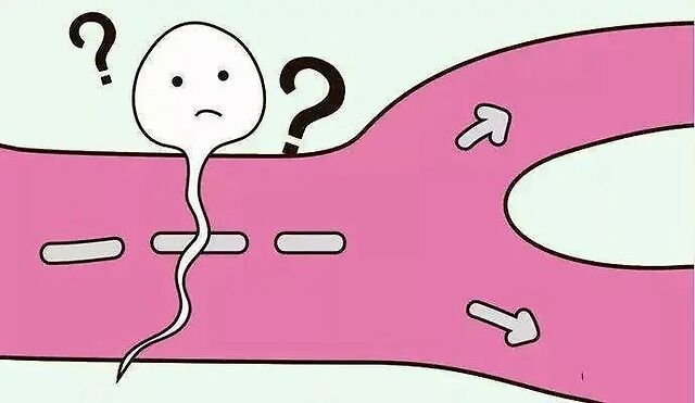 或存在抗精子抗体,就可能会影响精子的运动和存活能力,把精子们挡在