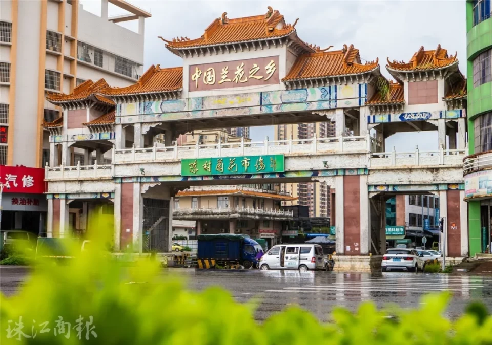 话说陈村 | 美哉!花间一梦梦千年,陈村等风也等你
