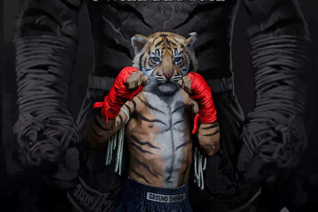 如果拳击手打泰拳可能会面临哪些尴尬