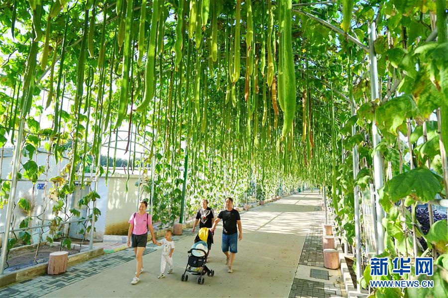 河北省秦皇岛市北戴河区依托自身农业,旅游资源,积极推进休闲观光农业