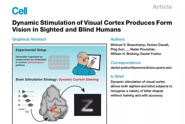 细胞绕过眼睛植入幻觉科学家成功在盲人脑海中呈现指定图像