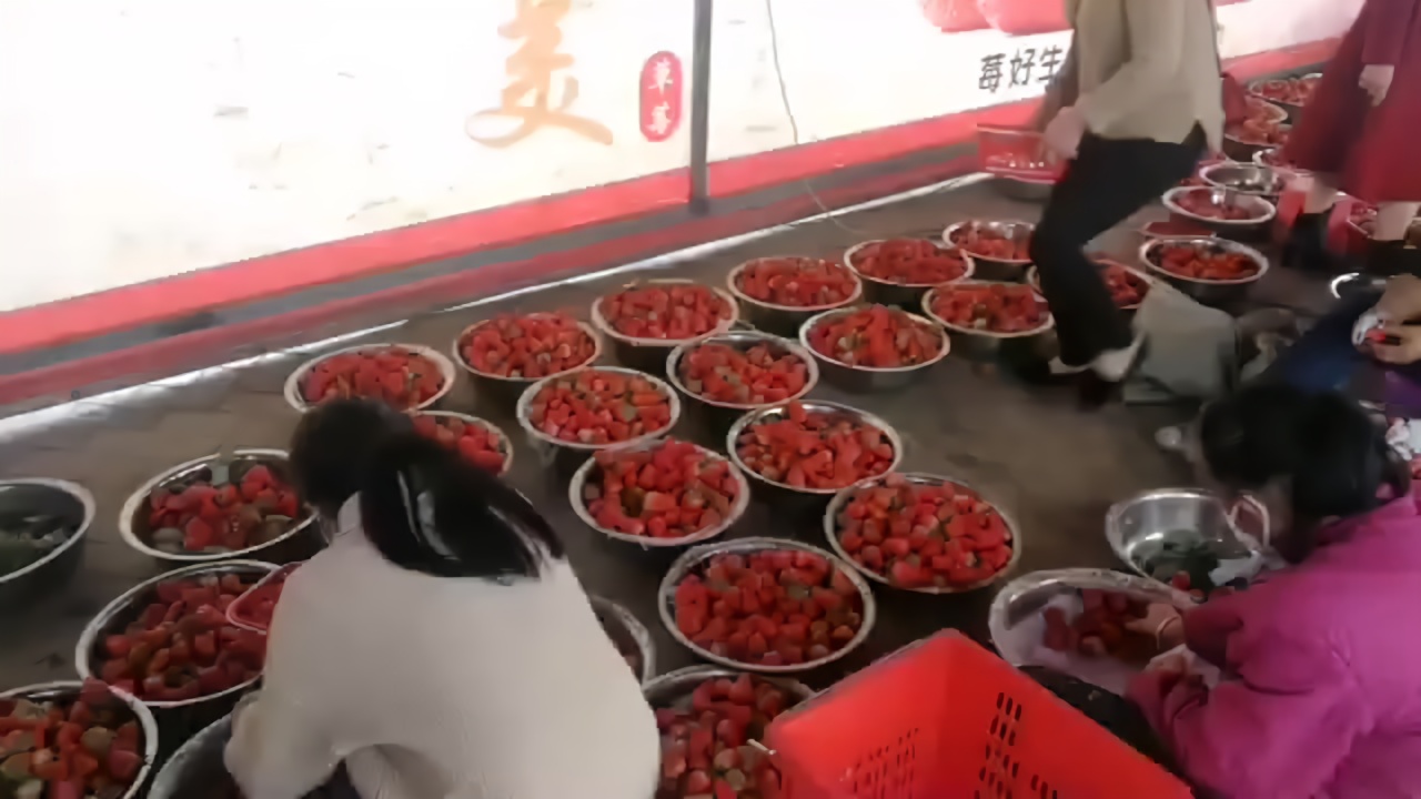 新津草莓受疫情影响滞销 60元一斤单价降到20元