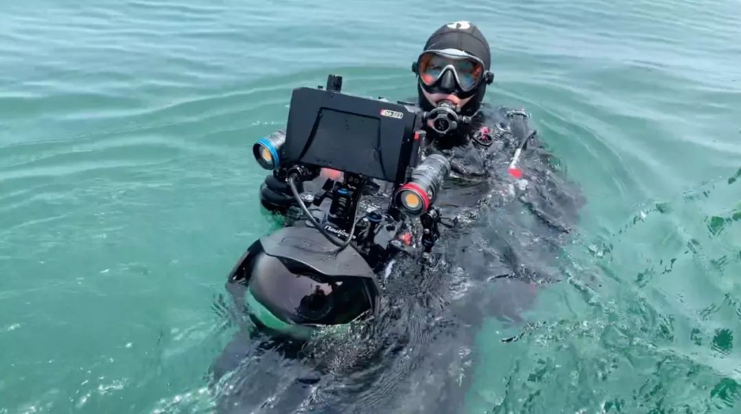 追鲨鱼的女孩带你去看水下中国周芳丨max探索奖提名