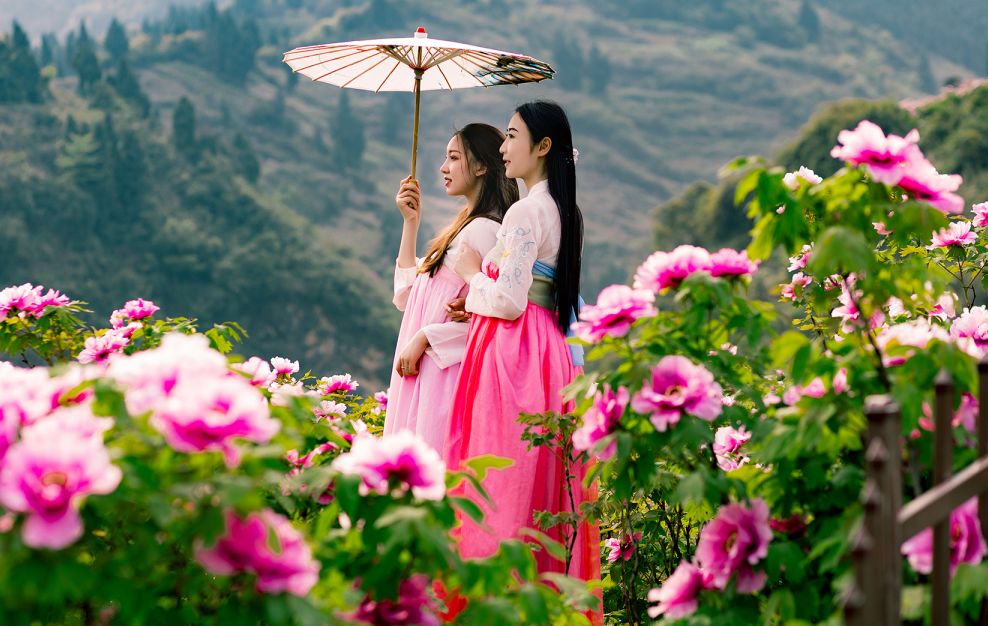 重庆又添4a级景区!2万亩牡丹花开成海,汉服 赏花,开启最佳春游季