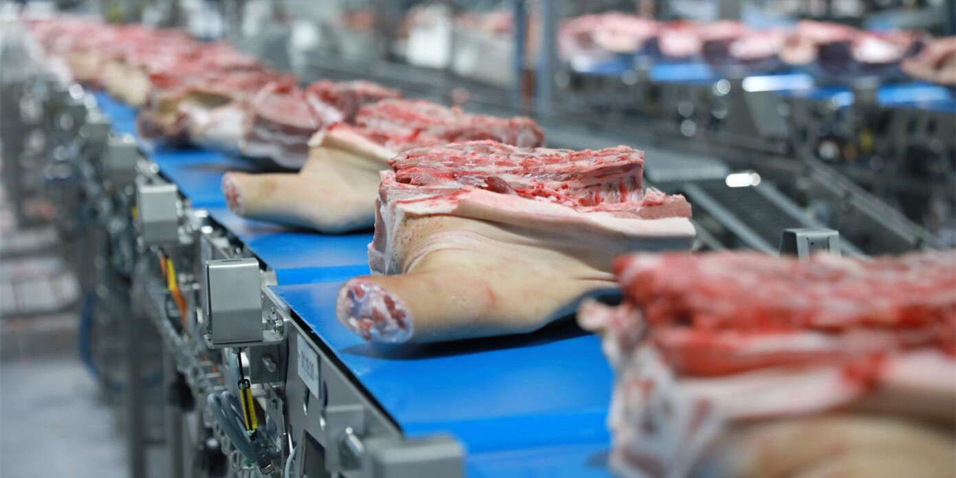 浙江12月21日生猪价格，饲料涨价、进口肉再来，猪价“涨势连连”？