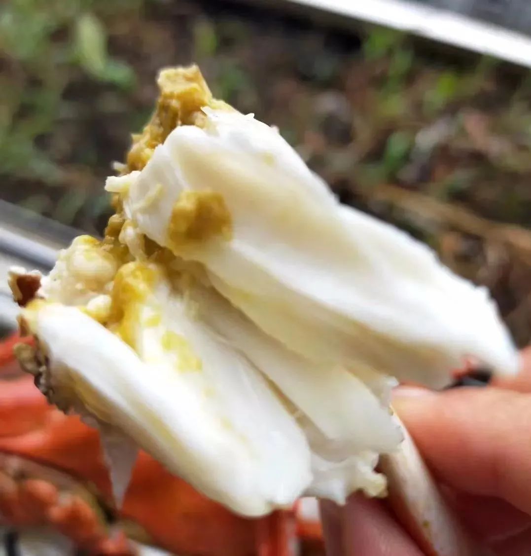 白蟹季来了宁波人最多一天消灭200吨今年最流行的吃法你试过吗