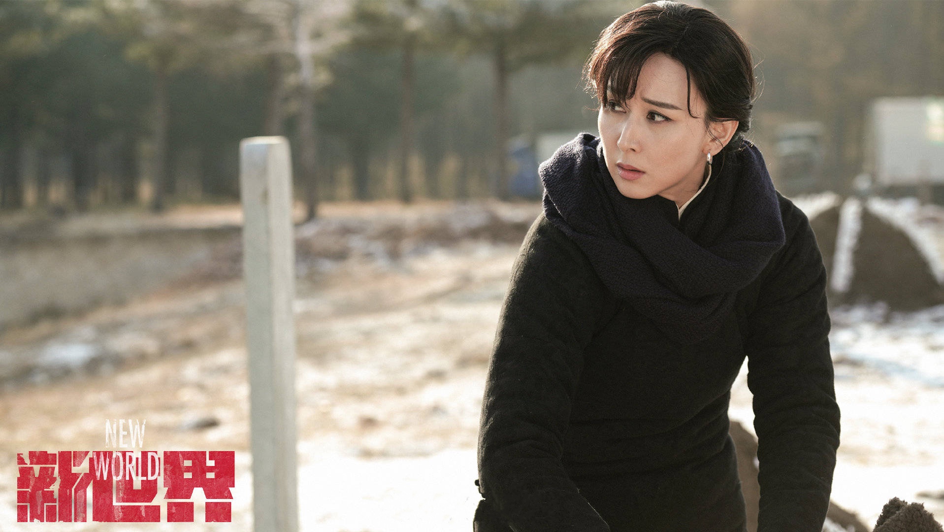 还要当属谍战大戏《新世界》以及根正苗红的律政剧《决胜法庭》