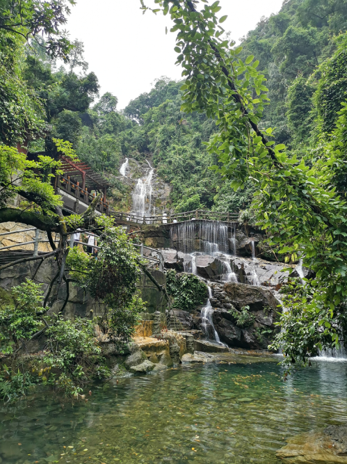 北回归线上的绿宝石 大鼎湖 森呼吸 风水宝地肇庆鼎湖山纪行