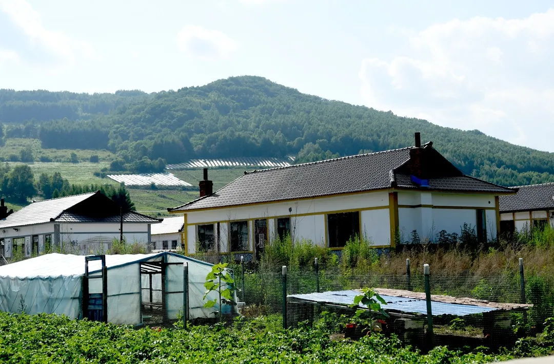 在這裡住上幾天,感受濃濃的朝鮮族風情. 這裡樹蔭濃,綠葉