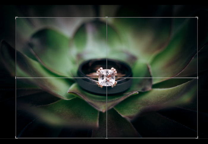 加速创意产出 Adobe 发布Creative Cloud产品更新