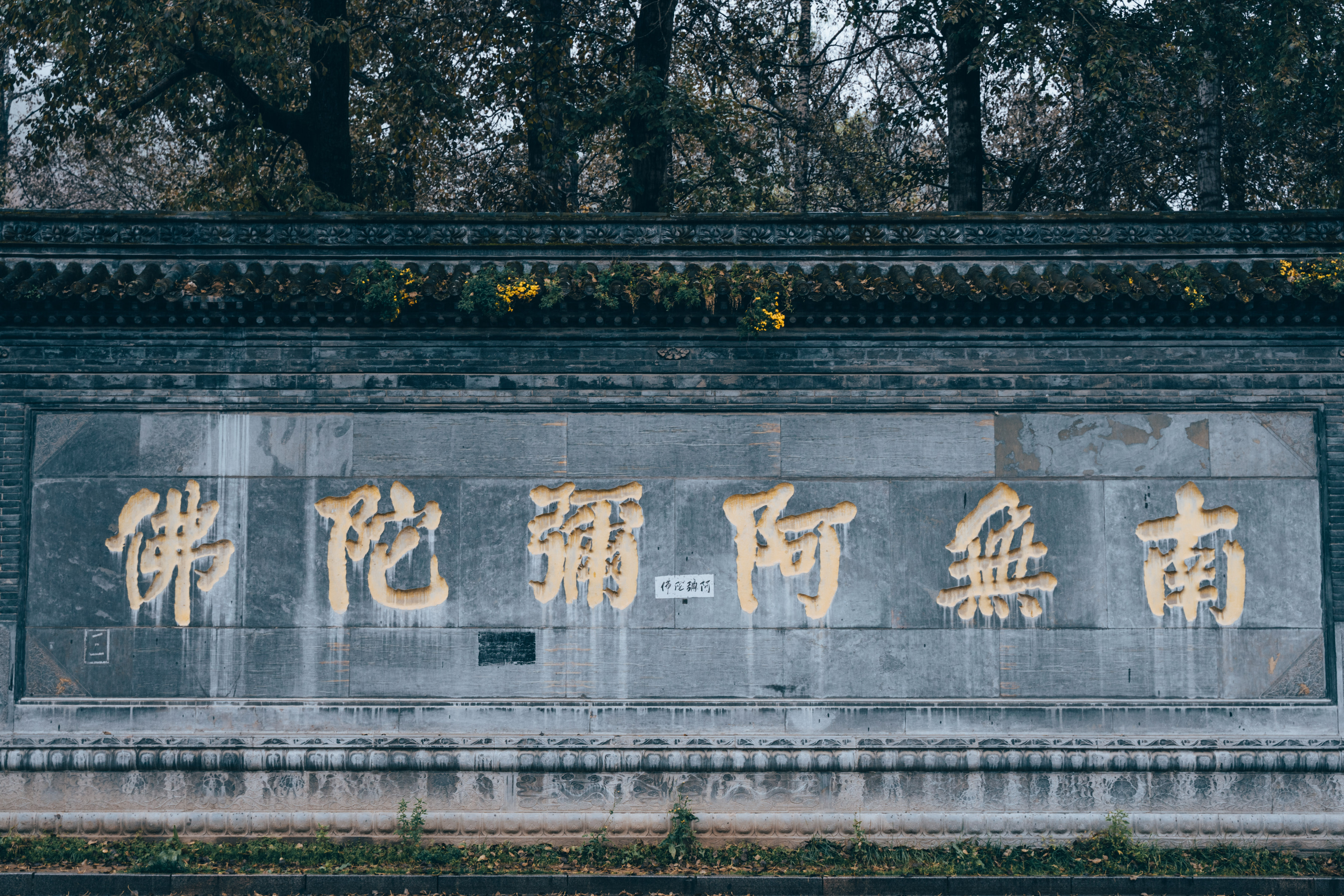 来到寺院大门口还没进去,就看见一座雕工极其精细的木牌楼上,悬着一块
