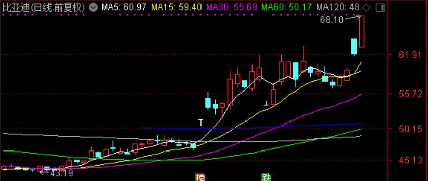 比亚迪股票最新消息今天涨停 6EEB221B8681C26AFFB487179F3C610F1FFCA0EC_size44_w839_h356.jpeg