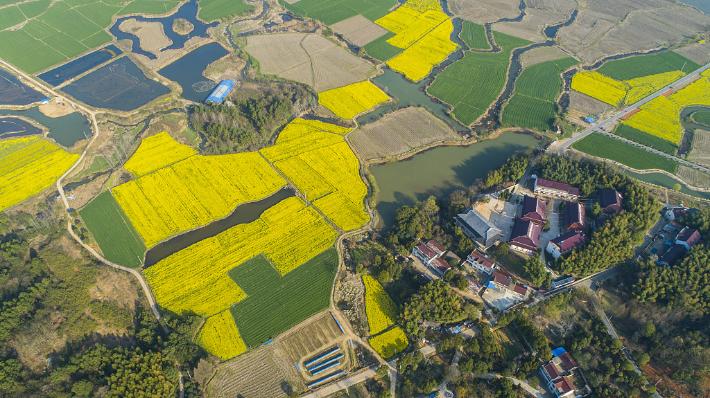 安徽宣城航拍乡镇油菜花海02美好乡村春意浓