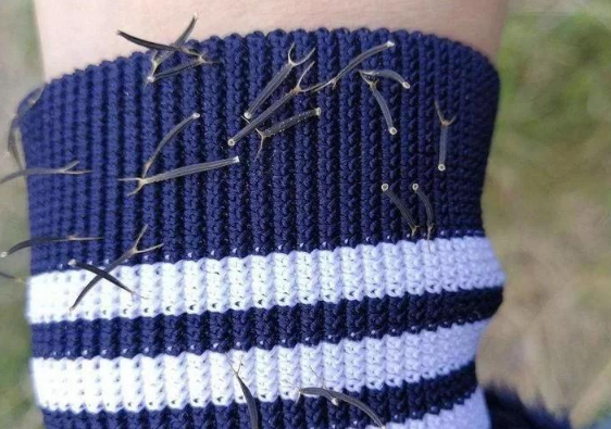 它是农民讨厌的恶草碰一下就扎衣服上如今却能酿葡萄酒了