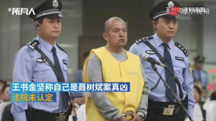 王书金案重审二审宣判死刑其坚称是聂案真凶法院未认定