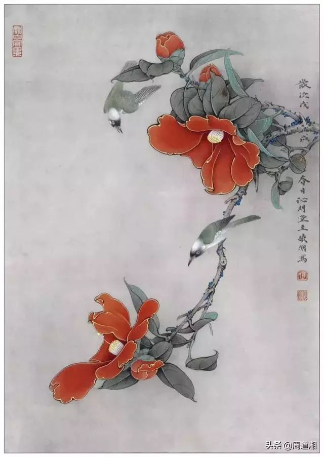 书画鉴赏丨工笔画教程茶花白头图绘制步骤