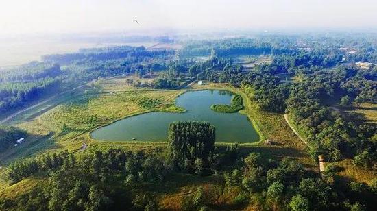 鄭州森林公園網站建設_(2021年鄭州森林公園)