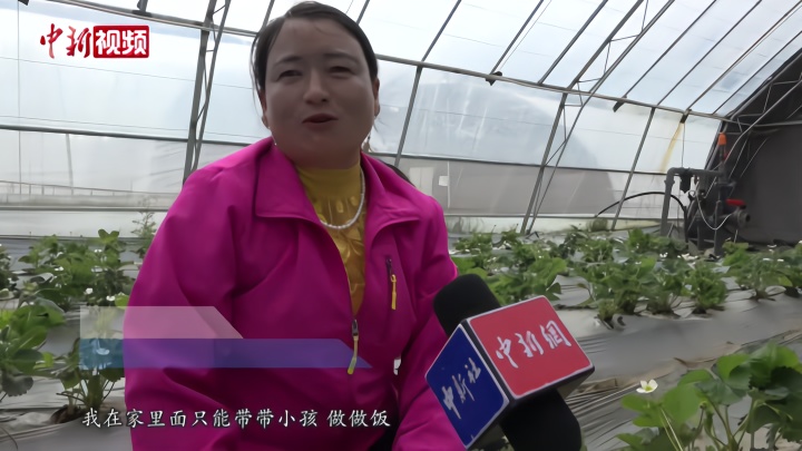 家庭主妇怎么了