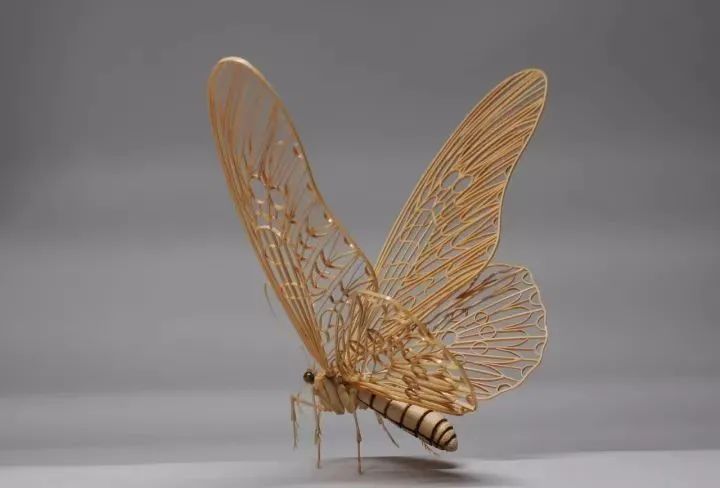 因此斋藤徳幸制作的竹编昆虫