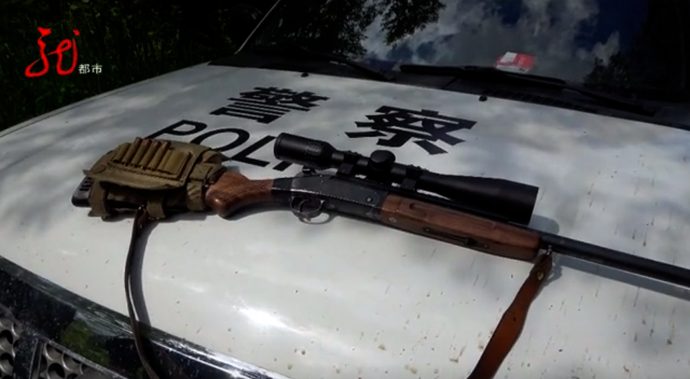 男子在林场持枪进山,民警全副武装赶到现场!枪哪来的?