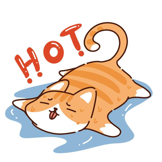 高温持续霸屏热成狗的英语你真的会说吗