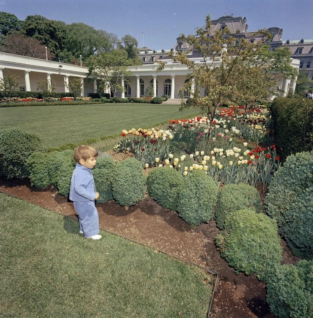 What Was Done To The Rose Garden At The White House
