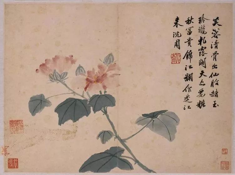 沈周册页小品高清合集 第33张