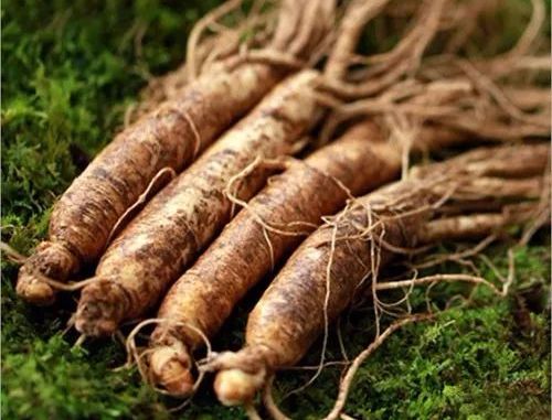 补中益气丸,个算十全大补膏,中药整理归脾丸,补气补血补阴补阳参苓