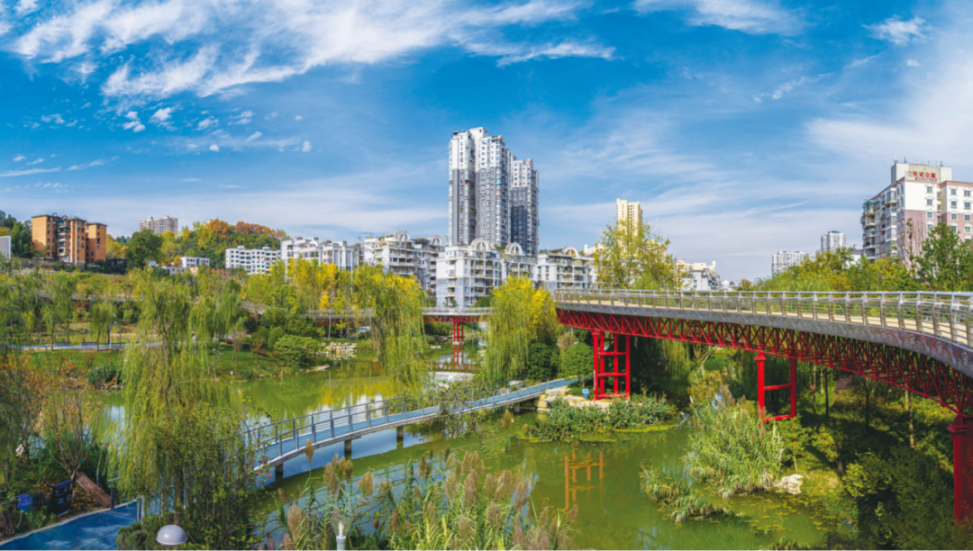 红花岗区高端网站建设_(红花岗区人民政府网官网招聘信息)