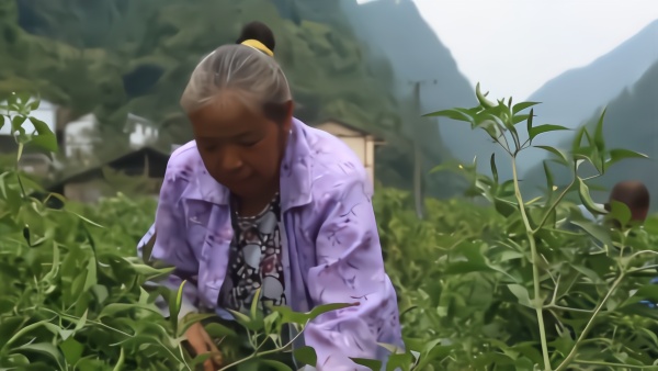 统计局回应有6亿人月收入千元：我国仍是世界最大发展中国家