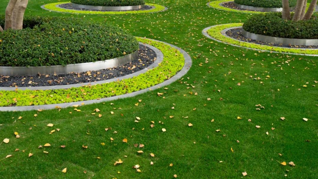 千岛印象的主题为乌桕林以及阳光草坪,结合金属装饰树池,营造现代