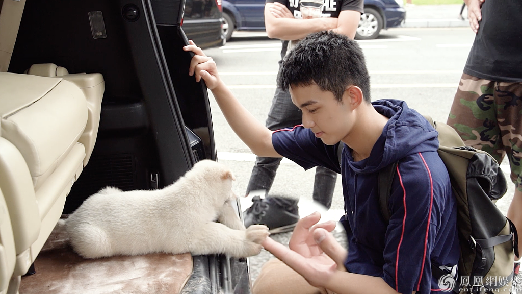 人帅心善吴磊收养流浪狗击掌起誓画面可可爱爱