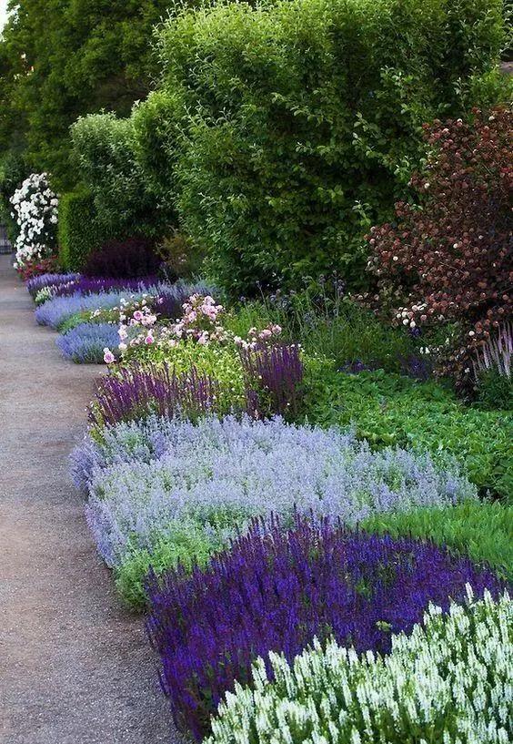 6个方法搭配庭院花草,每天都像在仙境