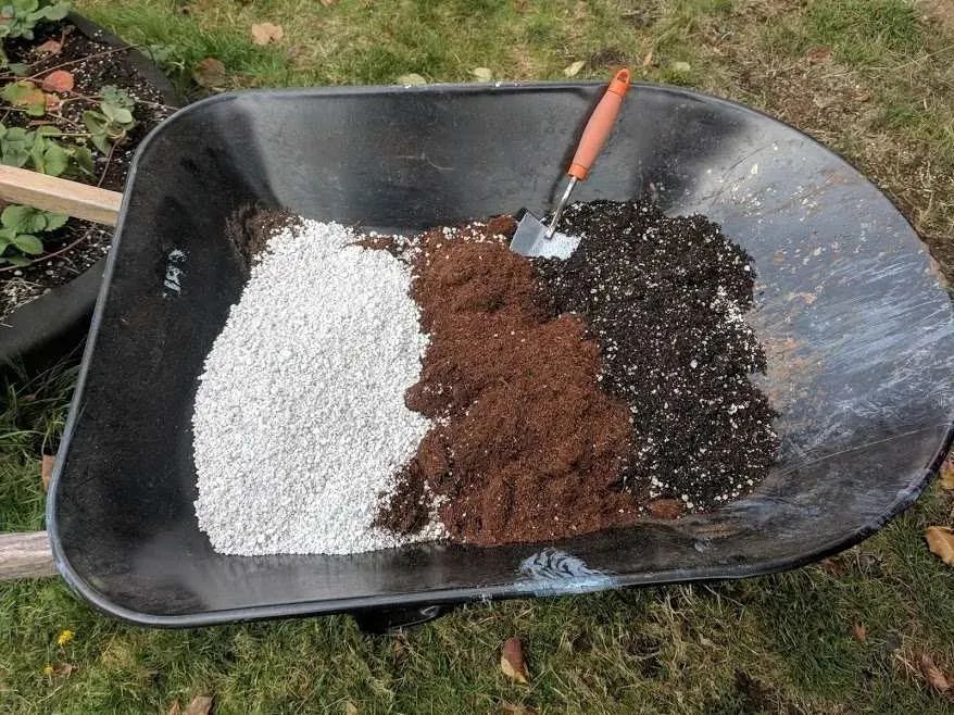 在家养花常用的几种工具 别光买盆栽植物 后期维护不可少 在家养花常用的几种工具 别光买盆栽植物 后期维护不可少