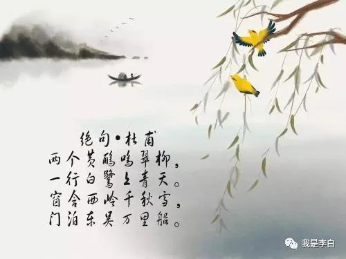 每日分享两个黄鹂鸣翠柳一行白鹭上青天