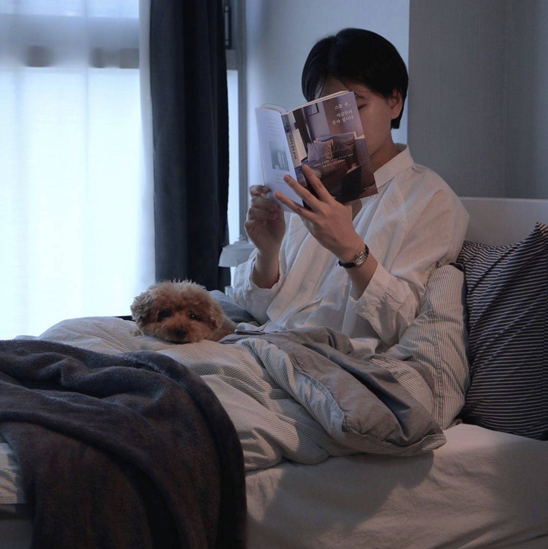 独居生活图鉴一个人也可以过得温馨精致