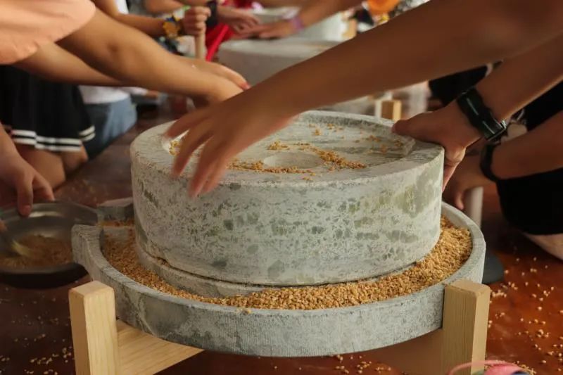 【秋季研学】浑水摸鱼,石磨面粉,稻草人diy,农场采摘.