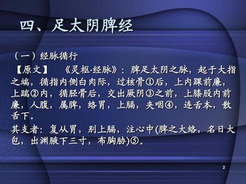 足太阴脾经——滋阴养血,百病不生