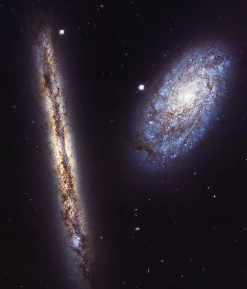 你生日那天的宇宙长什么样8亿网友挤爆nasa赠你漫天星辰