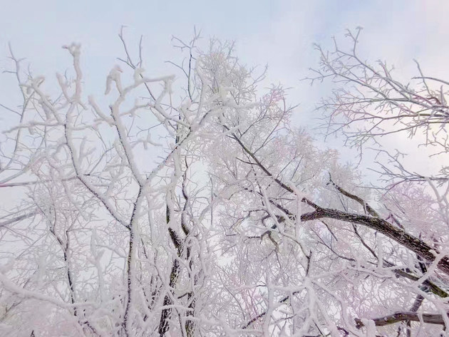 追寻雪的踪迹 与锐际深入冬季的乌兰布统