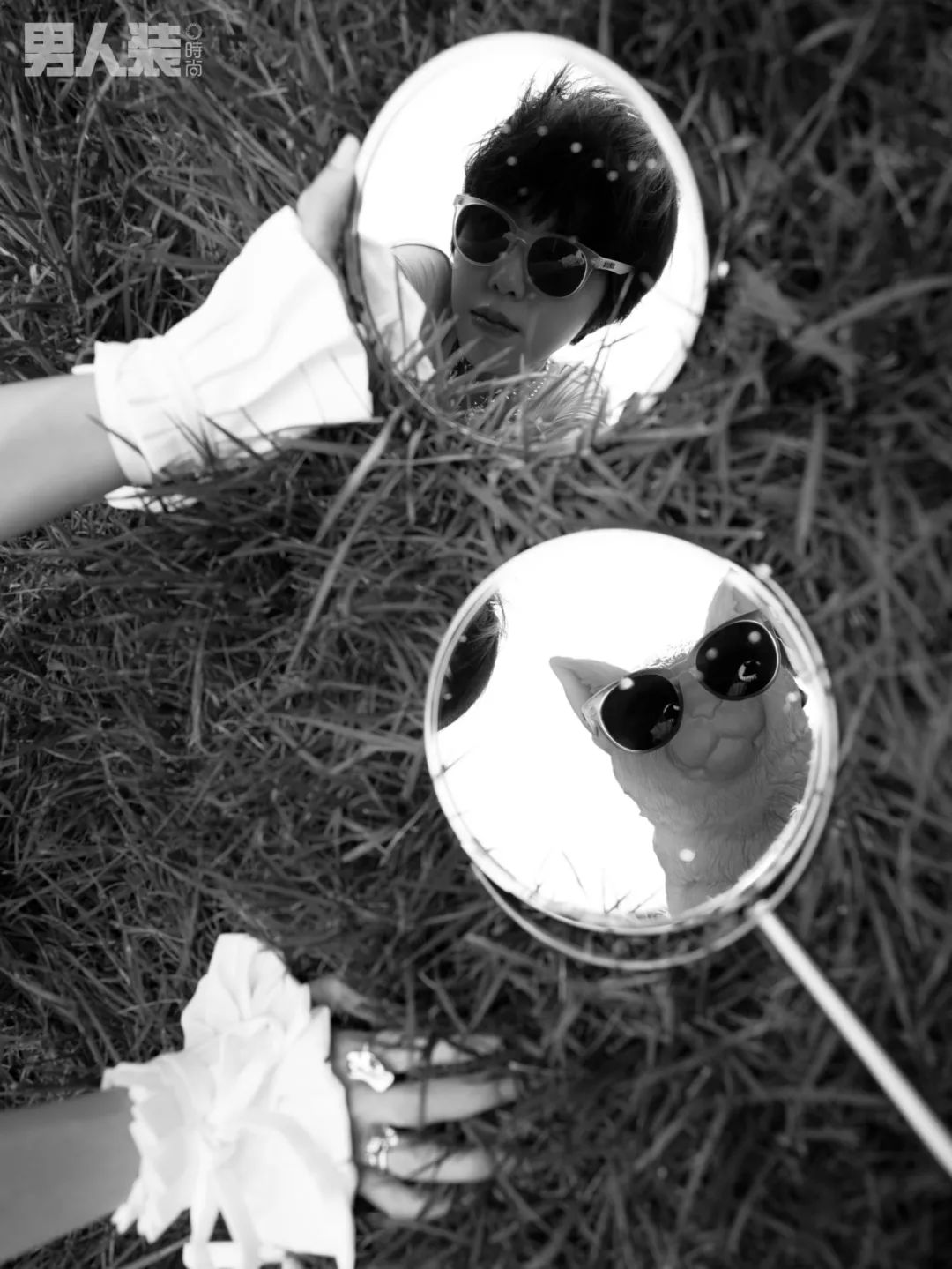 后海付菡鲨鱼上岸