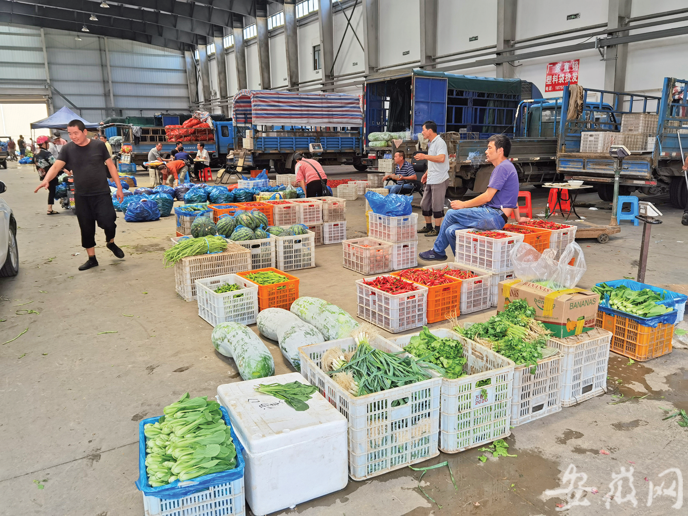 芜湖这一非法蔬菜批发市场为何关不掉