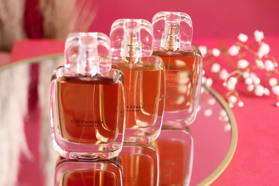 难民女孩的逆袭pierrefabre爱女huongmangin的奇幻人生