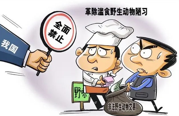 让野味远离舌尖