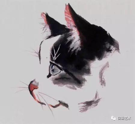 书画联盟丨小动物彩墨画法之猫的画法