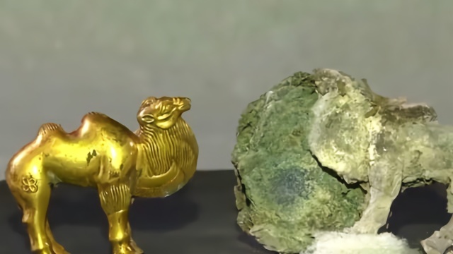 秦始皇陵园出土国内最早单体金银骆驼:秦代可能就有中西交流