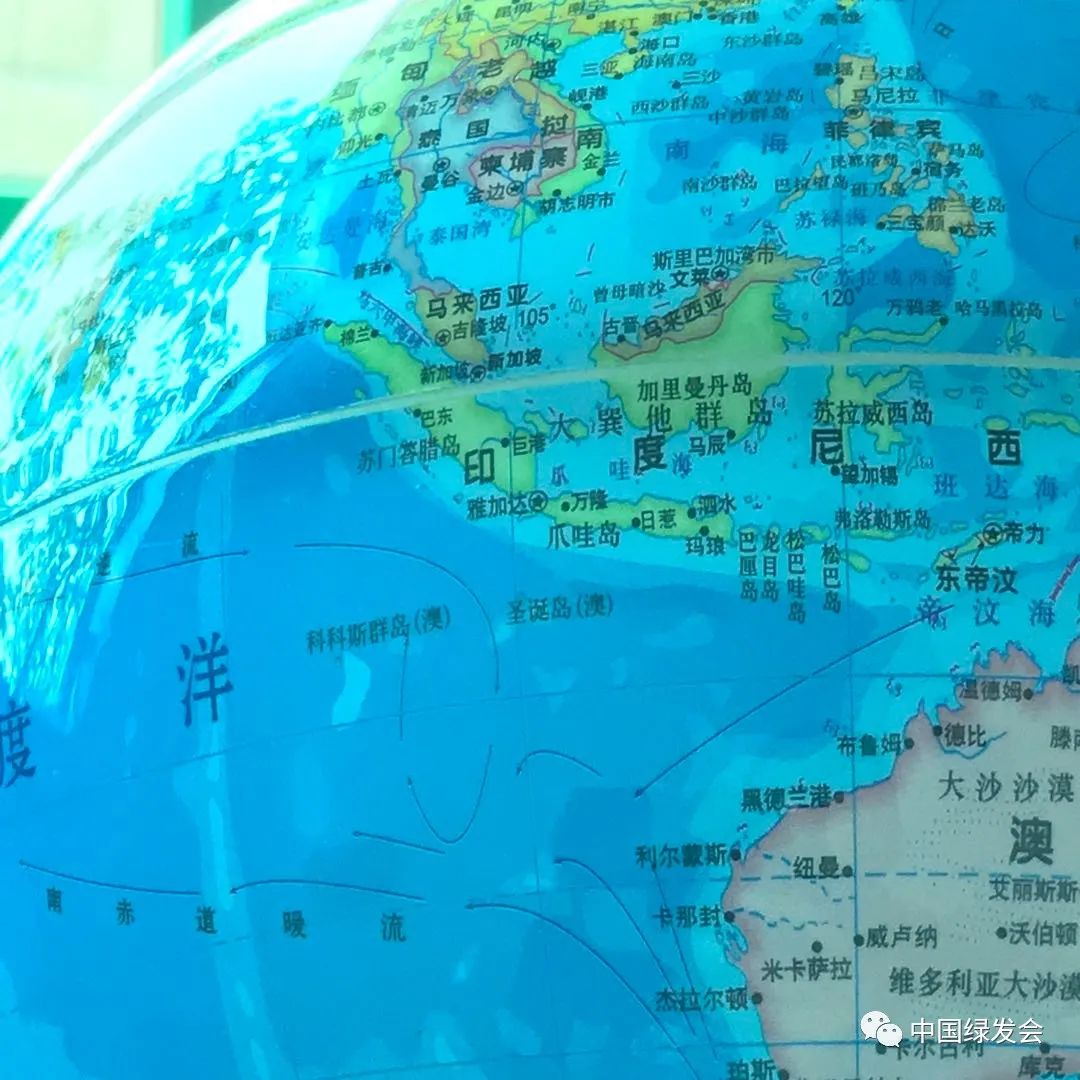 圣诞岛蝙蝠发出最后的绝响,8年后才被宣布灭绝