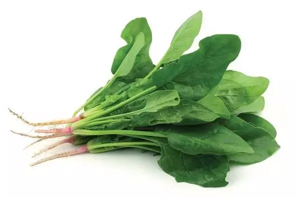 这9大蔬菜，狂吃不胖！