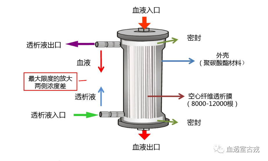 血透滤过有多重要?__凤凰网