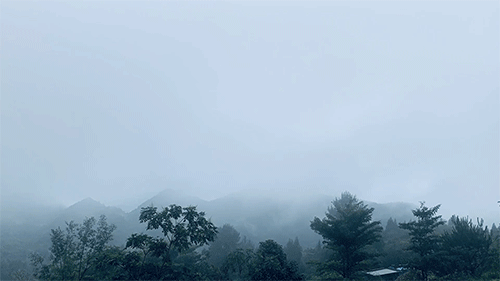 忽然,有人用手指向窗外说外面起雾了,我们这才意识到这山雨欲来的气势